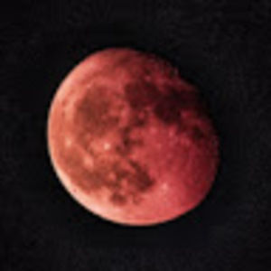 Meet your Posher, Max